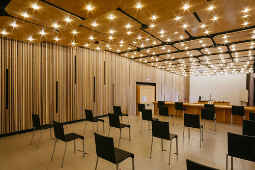 Immagine di Sala Conferenze ICEF - Roma